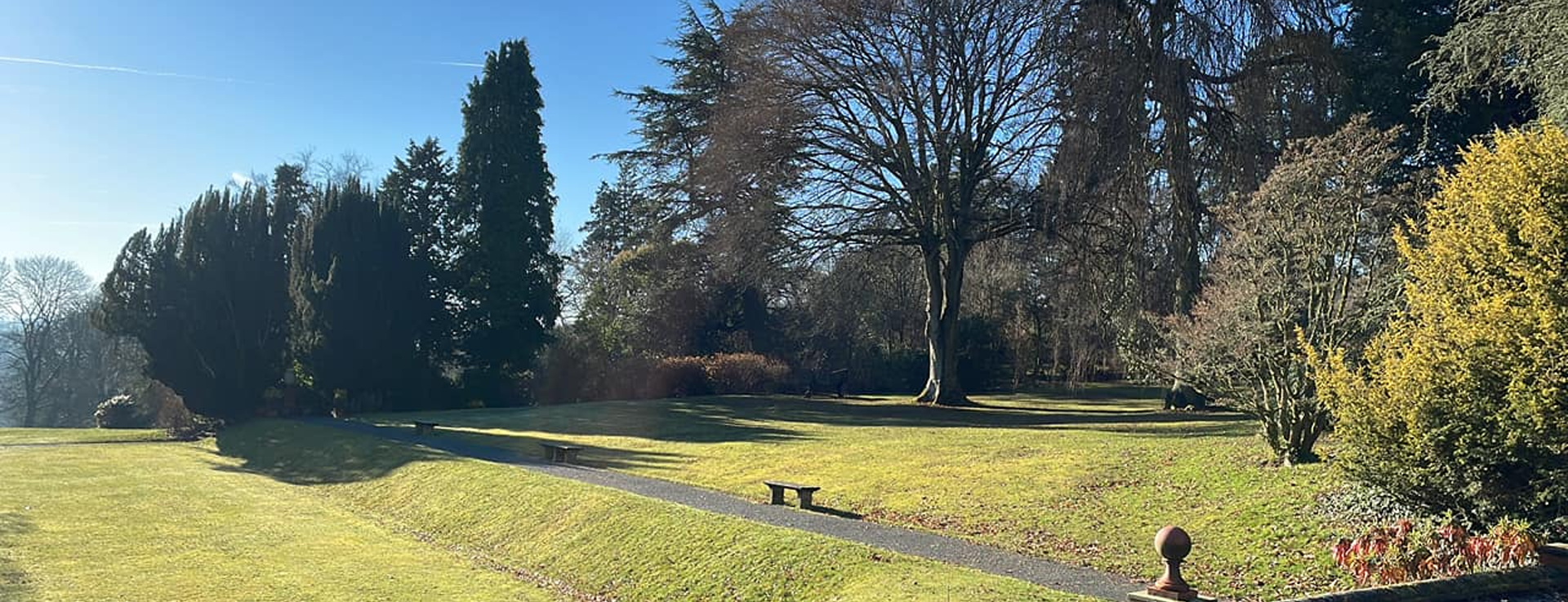 the lawns, trees and flowers with a path running through and concrete benches along the path