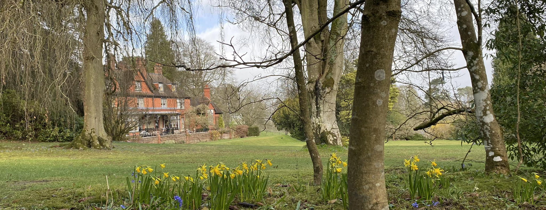 A view of the tearoom across the lawn, from under the trees