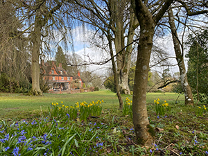 A view of the tearoom across the lawn, from under the trees